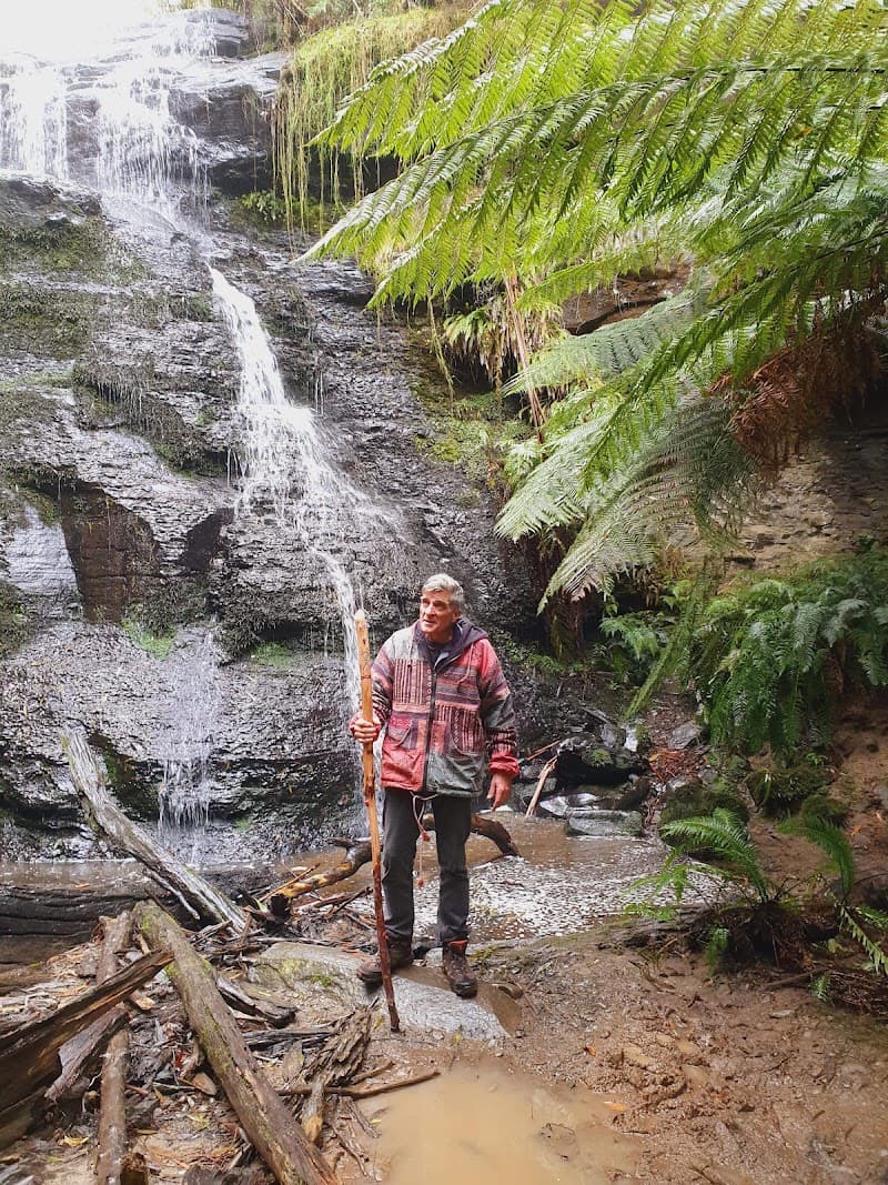 Sandi Dwyer Soul Consciousness Therapies Geelong photo