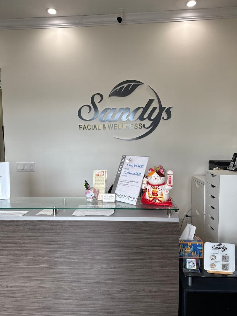 Sandy's Facial and Wellness East Brunswick photo