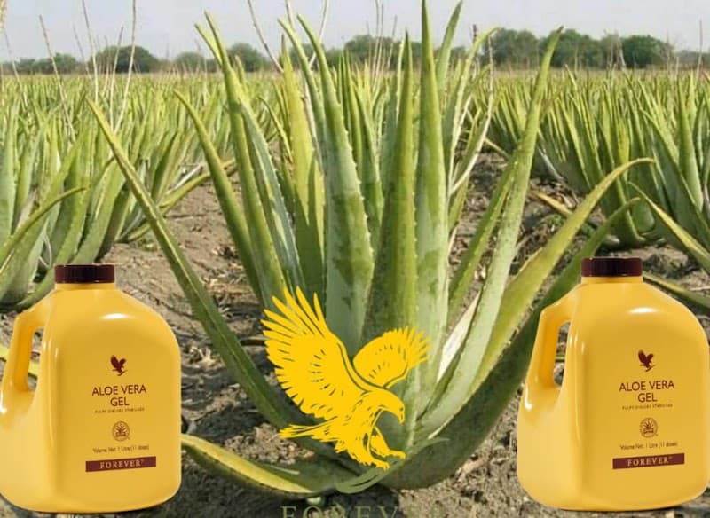 Santé Massage Et Énergie Pranique Ouagadougou photo