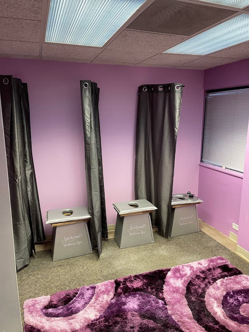 Santeira wellness spa Olympia Fields photo