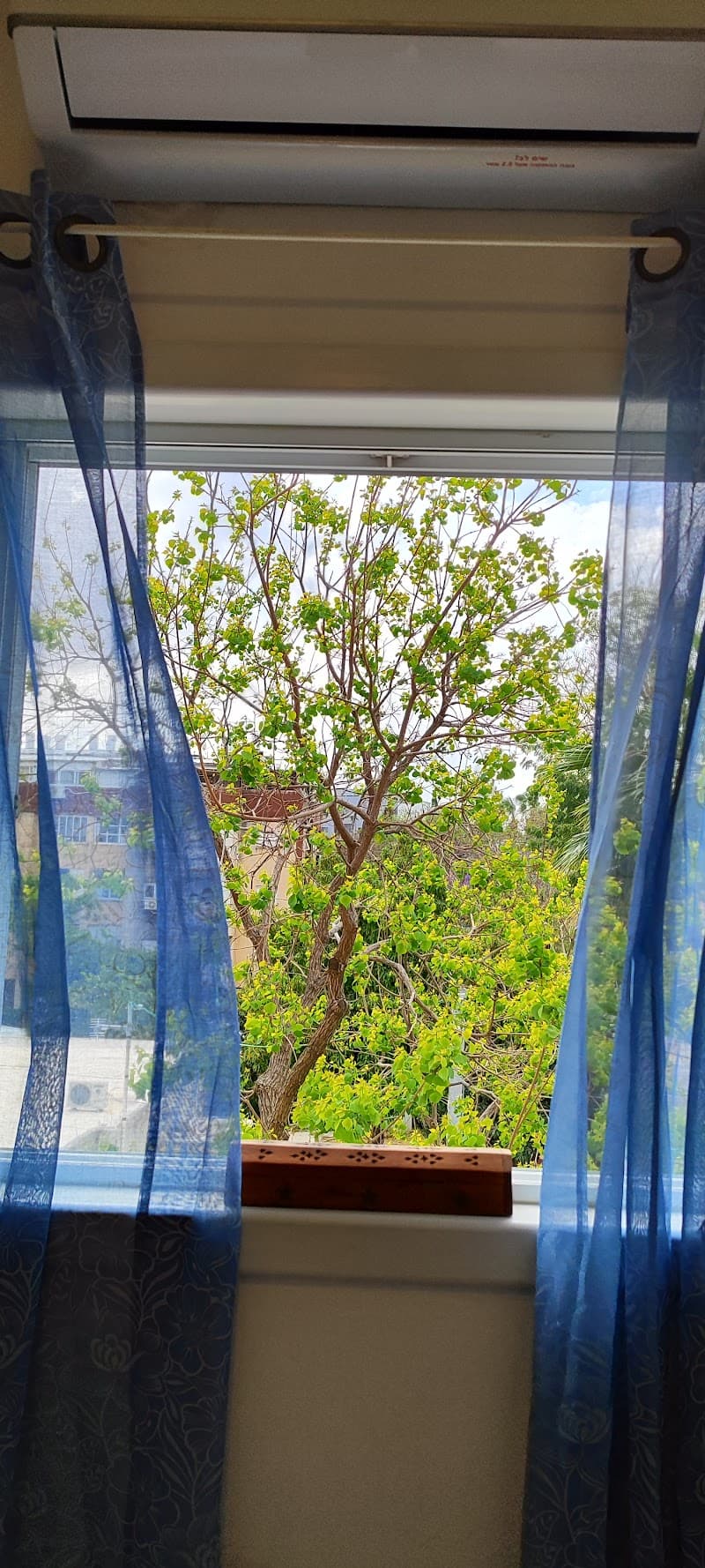 Sarit Shasha - Chinese Medicine, Acupuncture and Herbal Medicine Petah Tikva photo