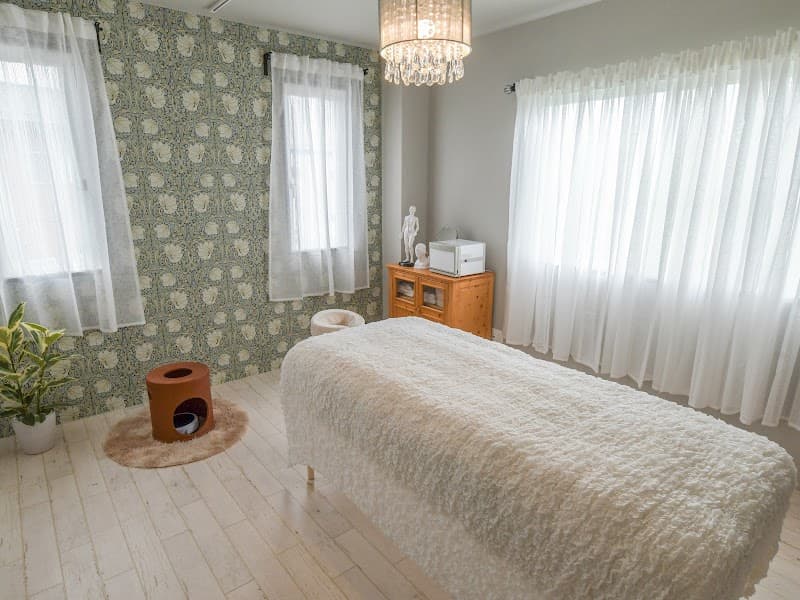 Sattvic Ayur Beauty Ayurveda Salon Maebashi City photo