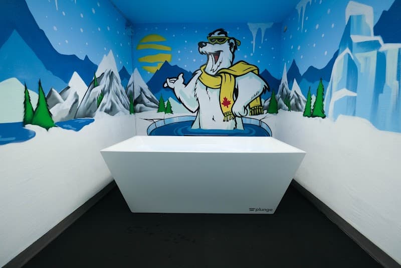 Sauna and Ice Bath Durham Oshawa photo