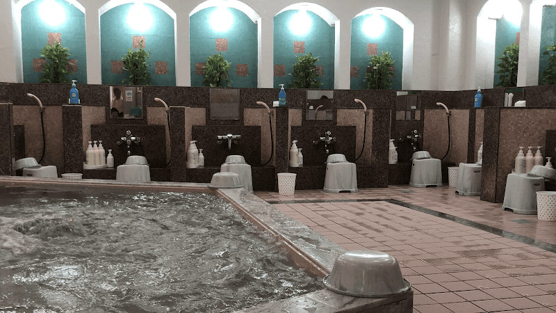 Sauna Shan Osaka City Yodogawa Ward photo