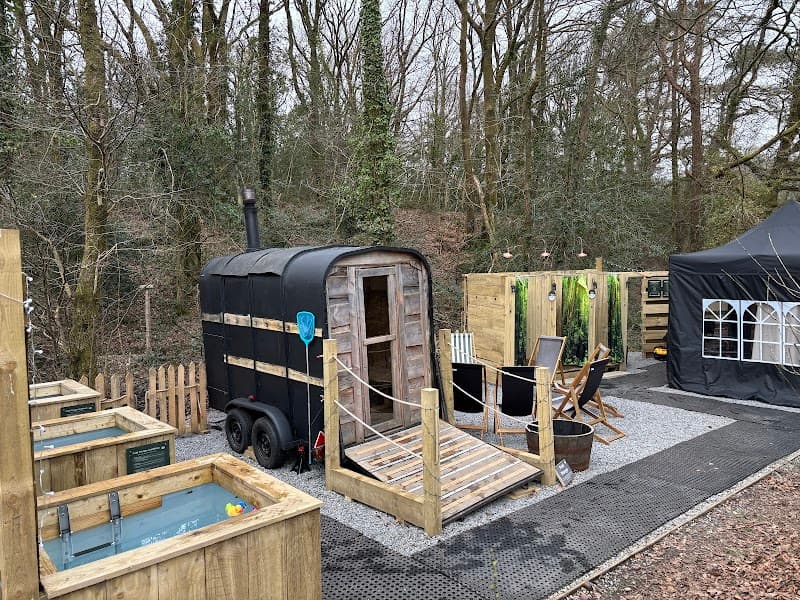 Sauna Y Coed Llanelli photo