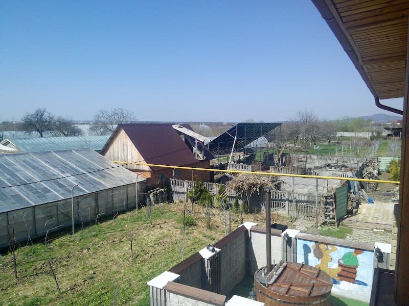 Saunas and tubs Vinogradiv Vynohradiv photo