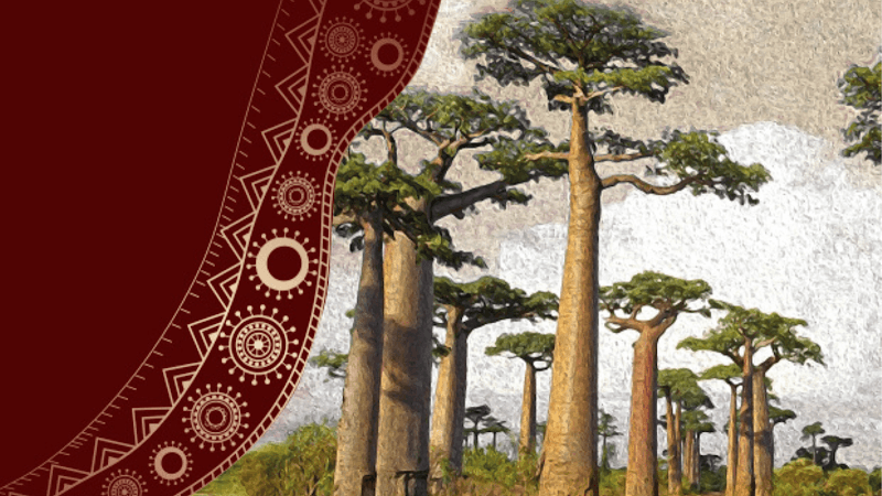 Savana spa Ljubljana photo