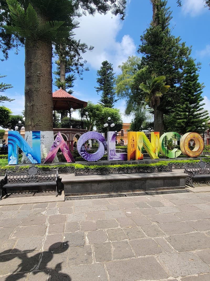 Savia Naolinco de Victoria photo