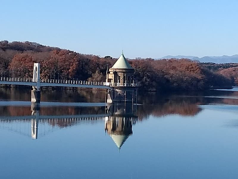Sayama no Chayu Tokorozawa photo