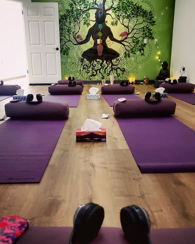 Saynas Collective healing Medicine Hat photo