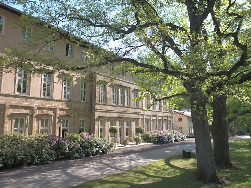 Schmerztherapie Ihr Masseur u. med. Bademeister aus Westfalen Bad Driburg photo