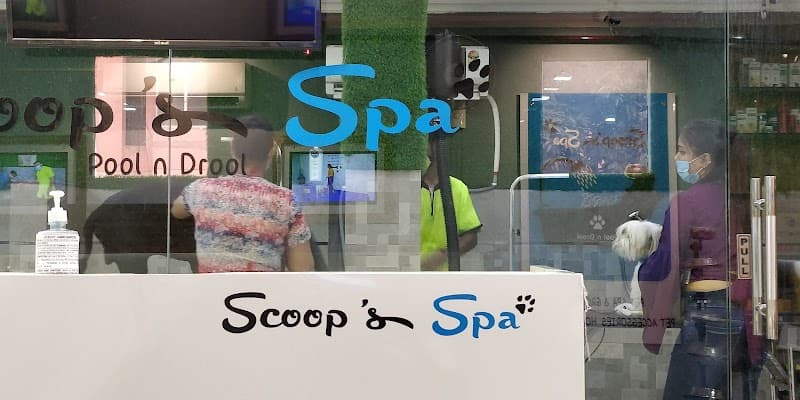 Scoops Spa Delhi photo