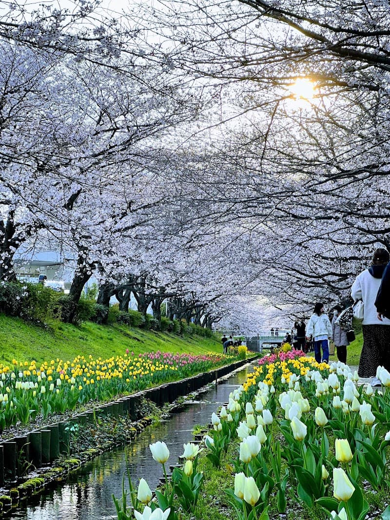 Seiryudo Kohoku Ward, Yokohama City photo