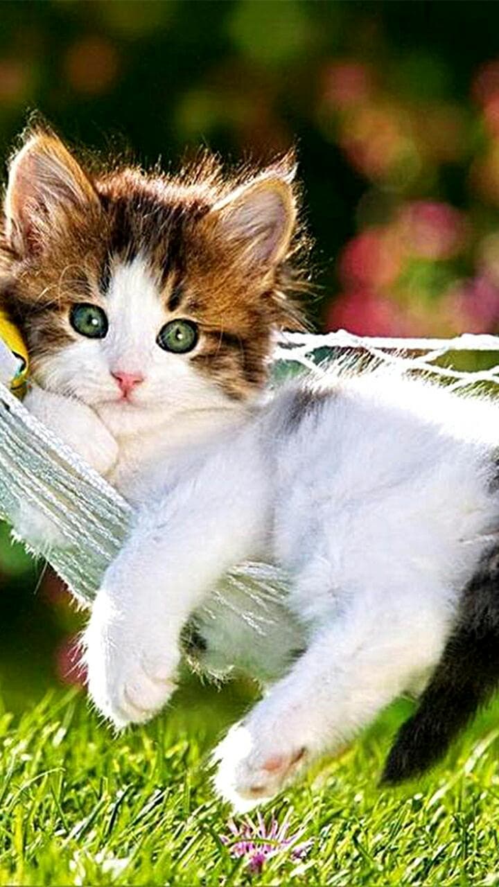 Selene Beauty Clinic Garden City photo