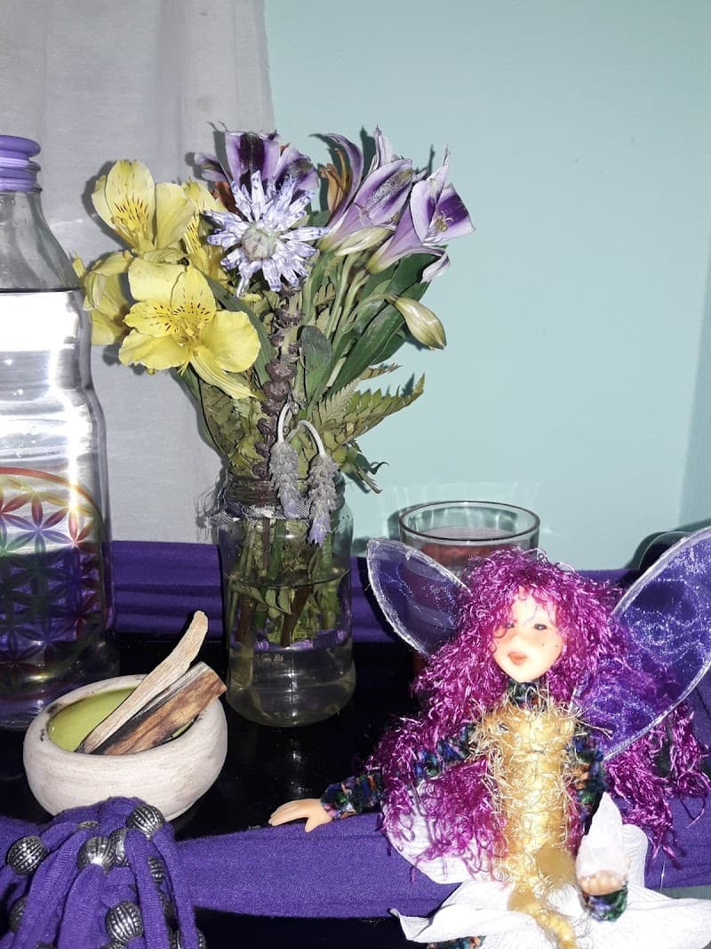 Semillero De Luz Paraná photo