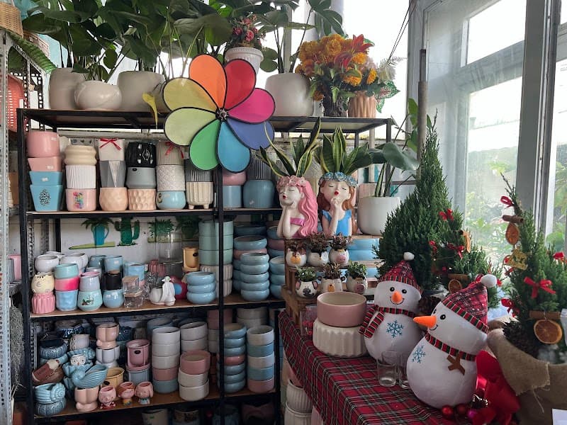 Sen Đá Home Spa Quận Ninh Kiều photo