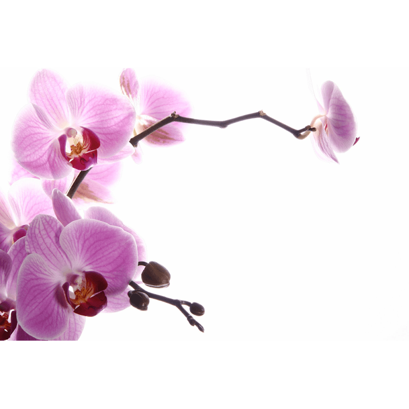 Sense of Balance Wellness Centre Hall photo