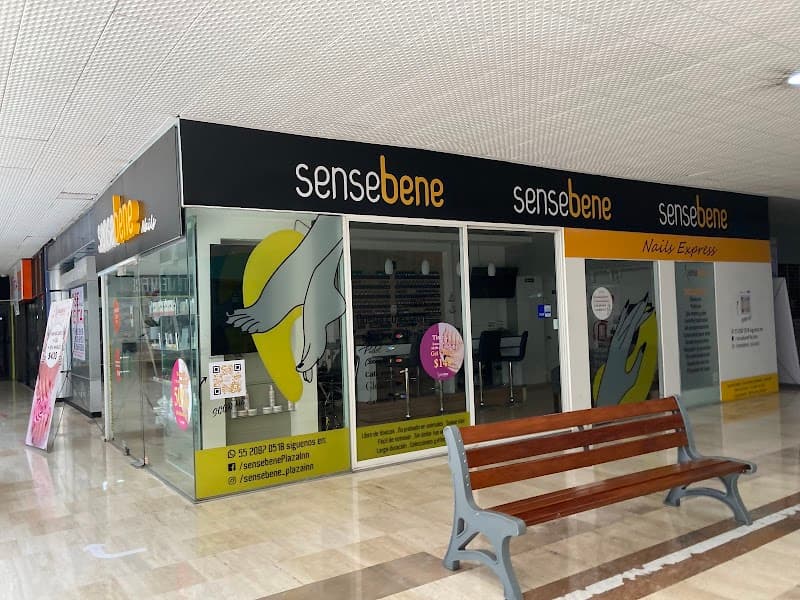 Sensebene Plaza Inn Álvaro Obregón photo