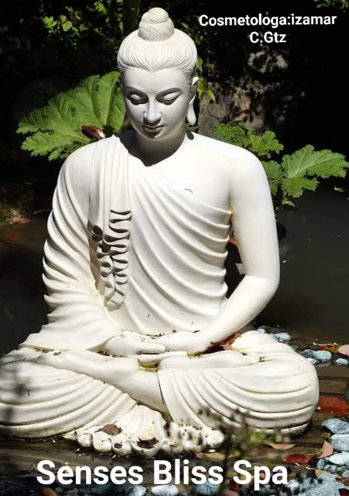 Senses Blis Spa Nuevo Laredo photo