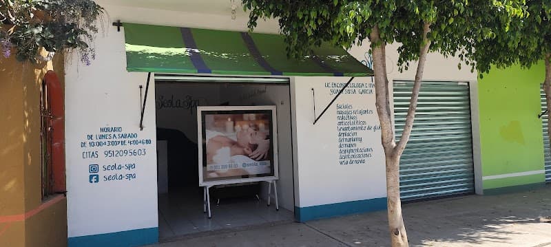 Seola spa San Pablo Huixtepec photo