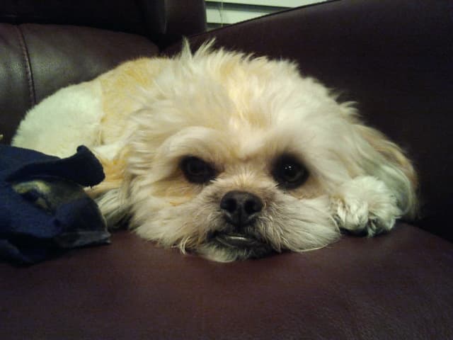 Serenity Now MED SPA Columbus photo