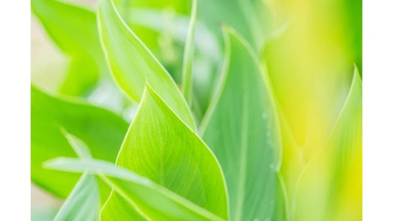 Serenity Stretch and Wellness Mooresville photo