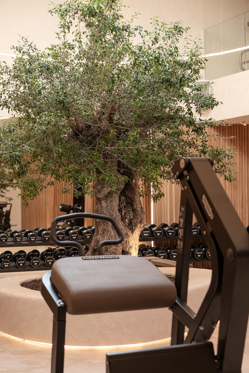 SEVEN Wellness Club Ibiza photo
