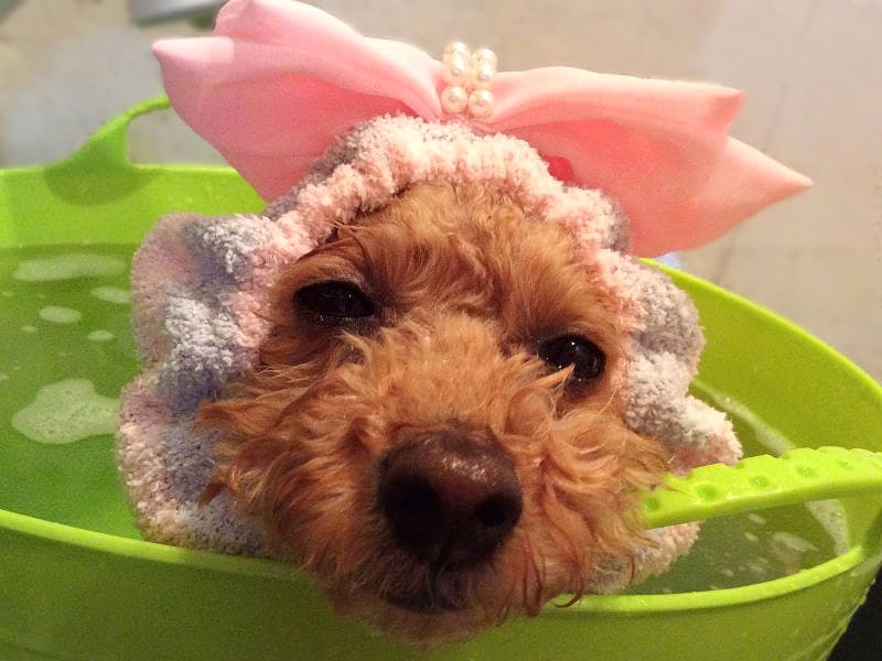 Higashi Osaka City seventh heaven photo