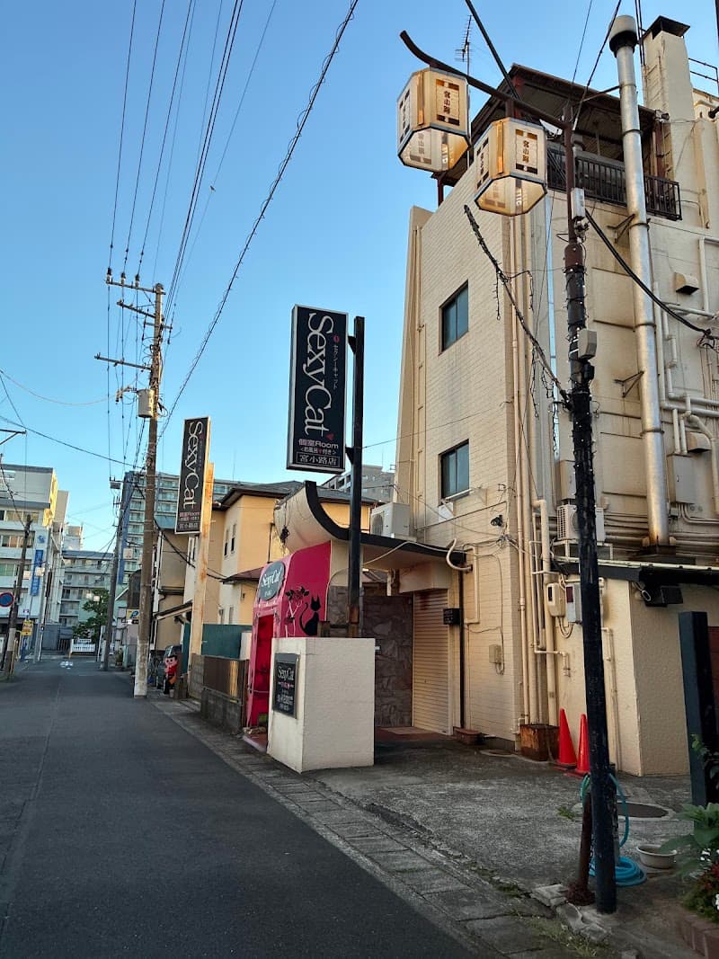 Sexy Cat Miyakoji Branch Odawara City photo