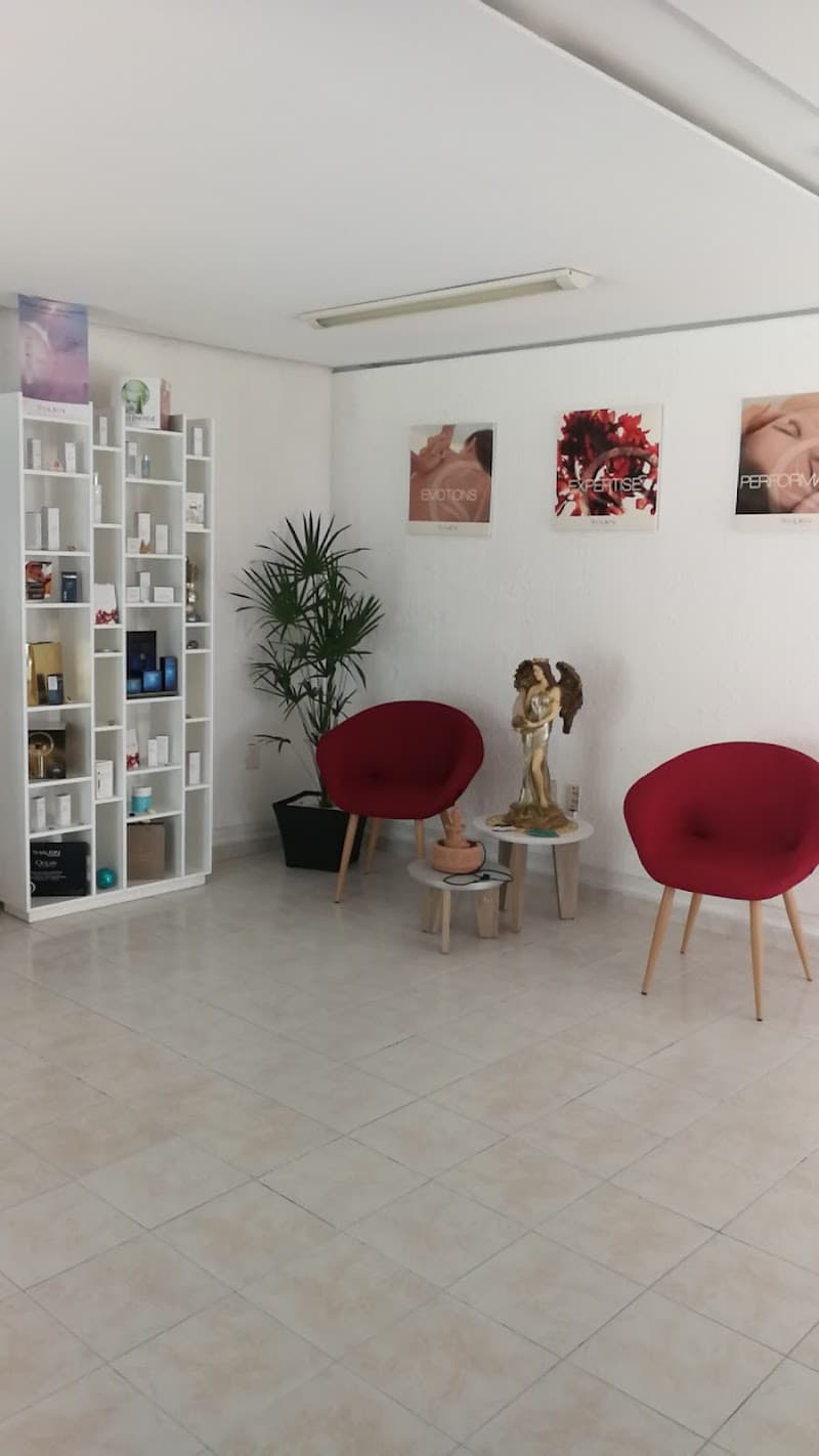 SG Belleza y Relajación Álvaro Obregón photo