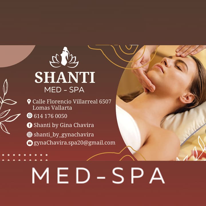 Shanti by Gina Chavira Chihuahua photo