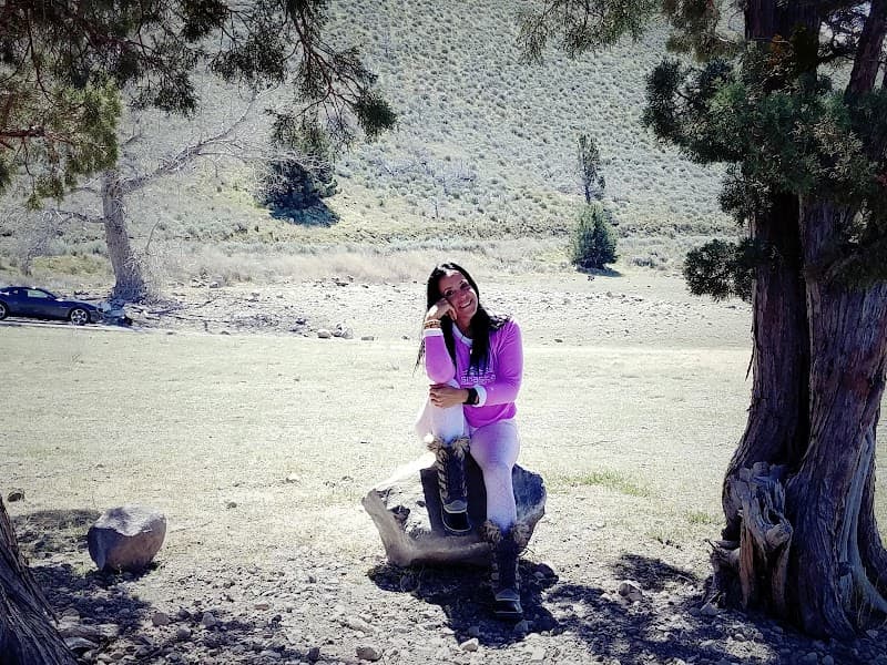 Shasta Destination Skin Coral Gables photo