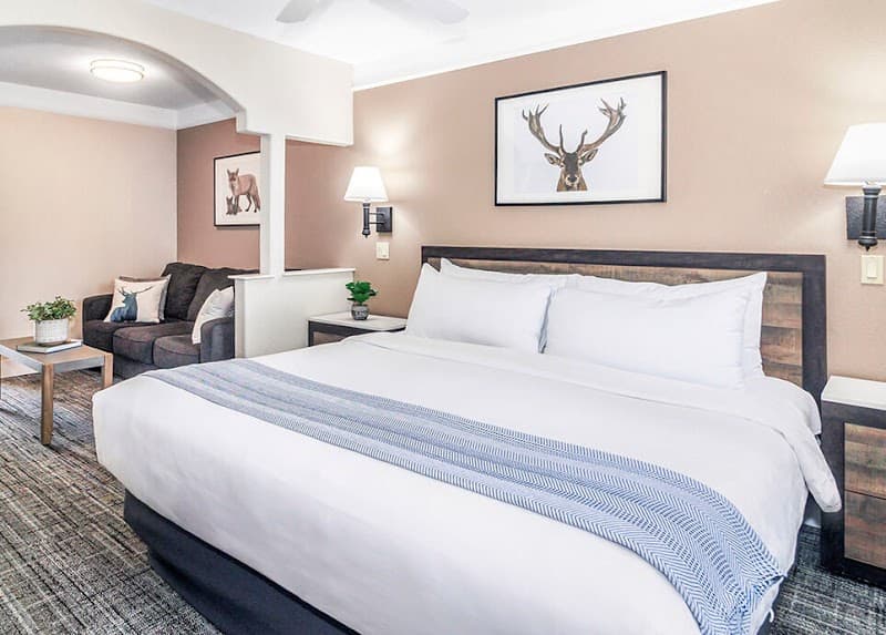 Shasta Mountinn Retreat & Spa Mt Shasta photo