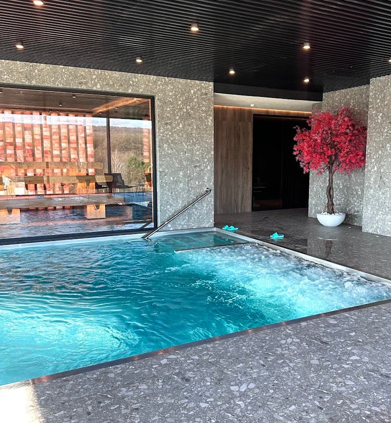 Sherwood Spa & Sport Club Uzhhorod Raion photo