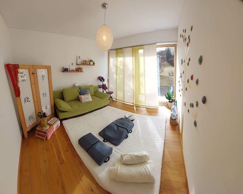Shiatsu Praxis Sabine Gruber Teufenbach-Katsch photo