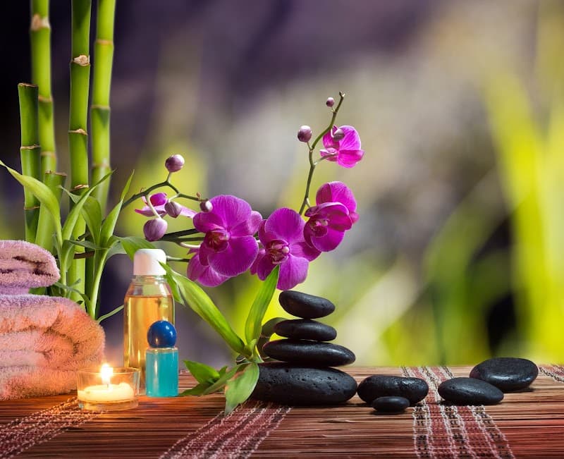 Shibui Gardens Spa San Anselmo photo
