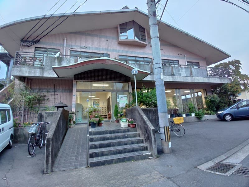 Shinkawa-yu Kagoshima photo