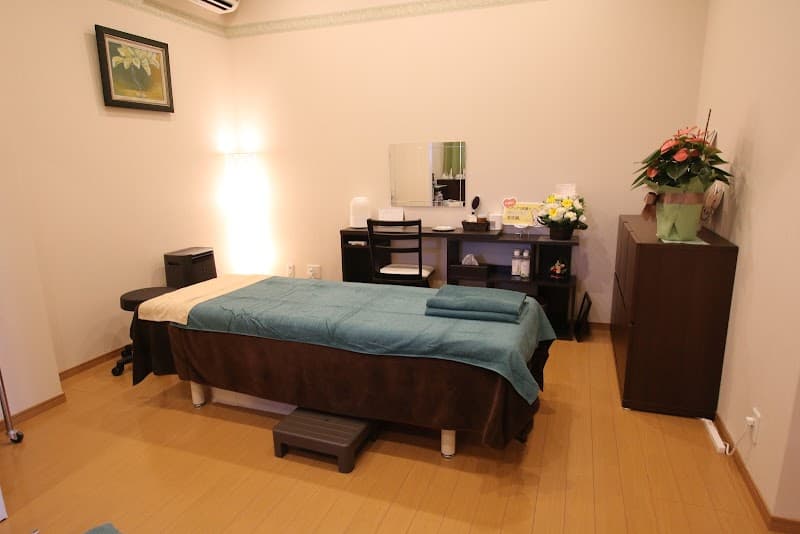 Shinkyu Chiryouin Shimogamo Sakyo Ward, Kyoto City photo