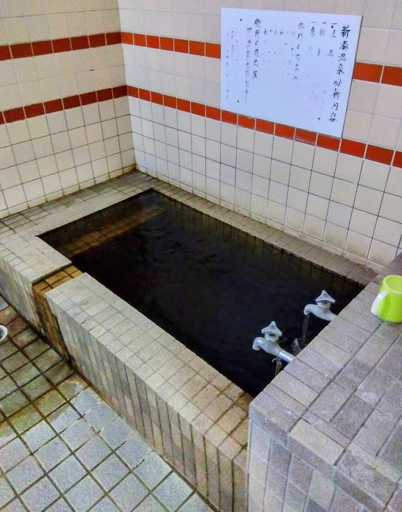 Shinminato Onsen Oita City photo