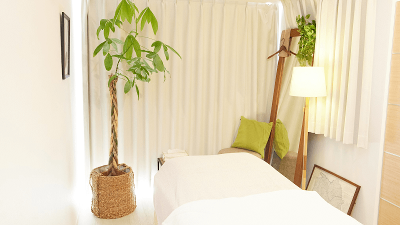 Shinsaibashi Hanasakura - Brazilian Wax / Beauty Hair Removal / School Chuo Ward, Osaka photo