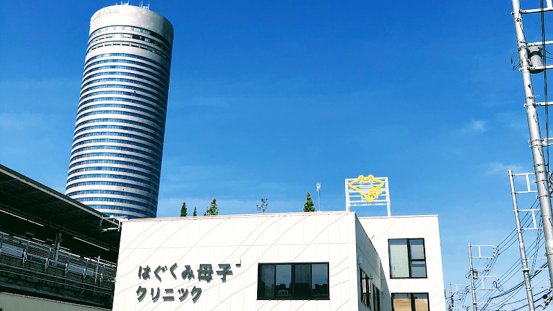 Shinshiro Natural Seitai Clinic Nakahara Ward, Kawasaki City photo