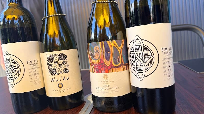 Shinshu Takayama Anti-Aging Center Kamitakai District Takayama Village photo