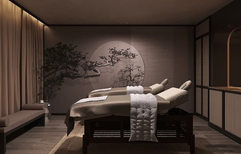 Shinzo Spa Bucharest photo