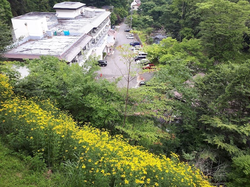 Shiobara Onsen Kawasaki Daishi Yakuyoke Fudoson Nasushiobara photo