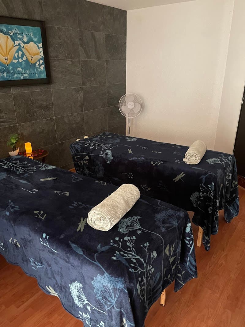 Shirley SPA Aguascalientes photo