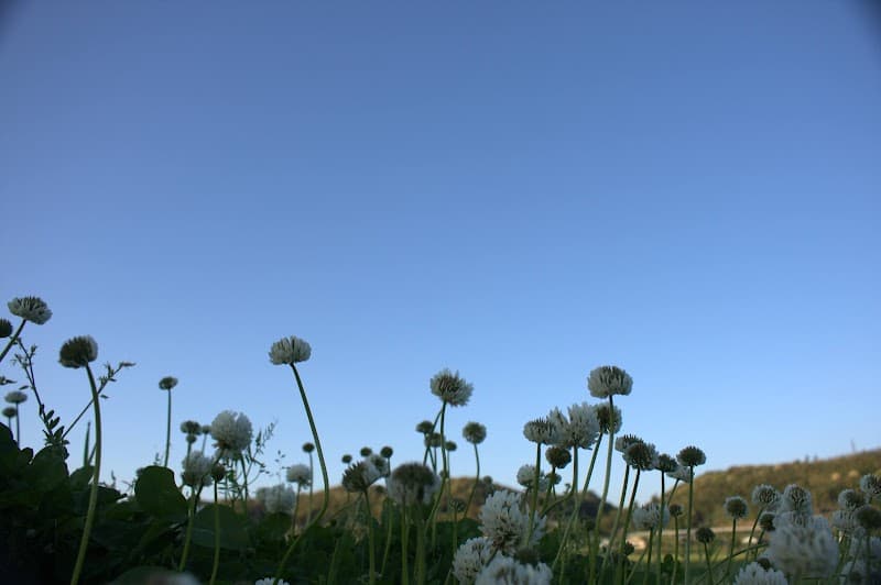 Shiyokan Satsuma District, Satsuma Town photo