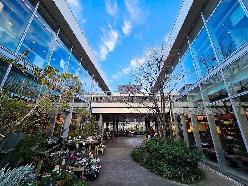 Shonan Tsujido Yellow Soil Mugwort Steam be-Bi Fujisawa City photo