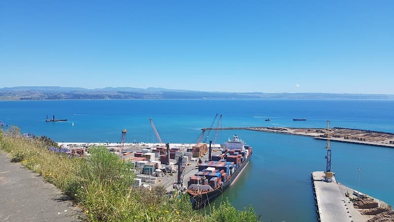 Shoreline Motel Hawke's Bay photo