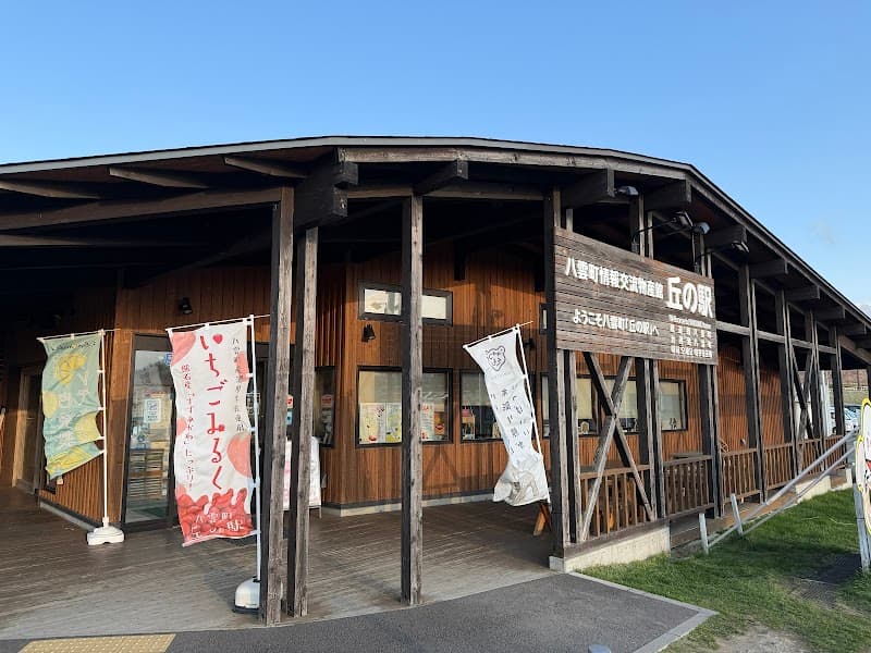 Showa-yu Yakumo, Futami District photo