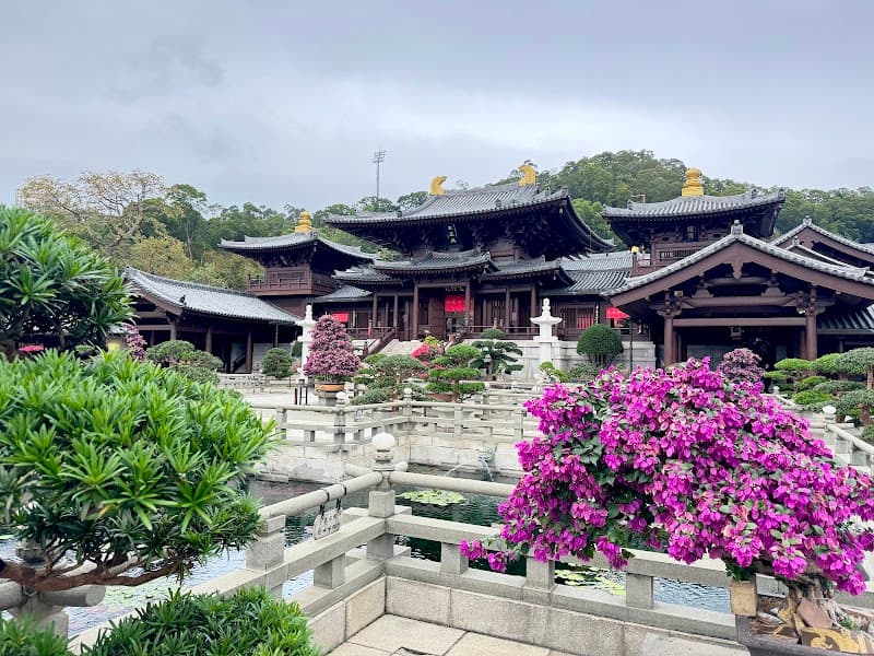 Shuiyuanfengge Water Lotus Hong Kong photo